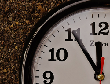 Community Organizing & Advocacy